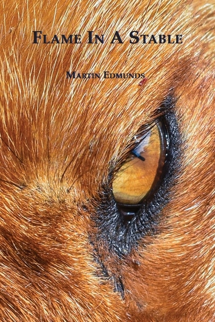 Front cover_Flame In A Stable
