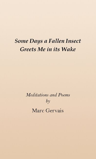 Front cover_Some Days a Fallen Insect Greets Me in its Wake
