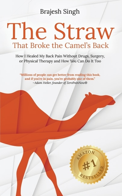 Front cover_The Straw That Broke the Camel's Back