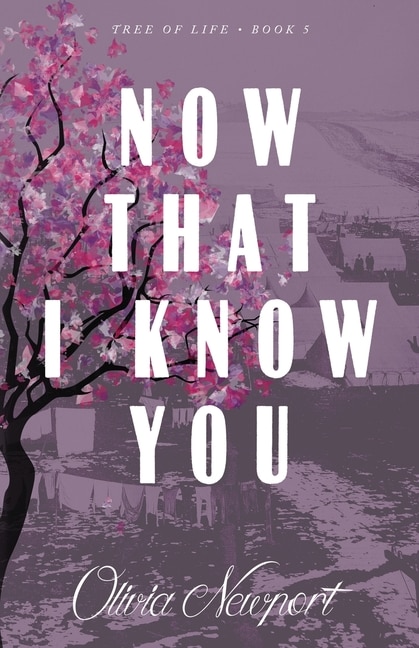 Couverture_Now That I Know You