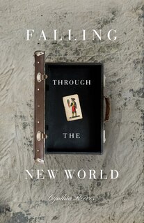 Couverture_Falling Through the New World