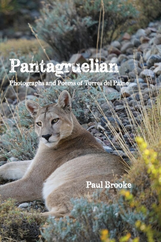 Front cover_Pantagruelian