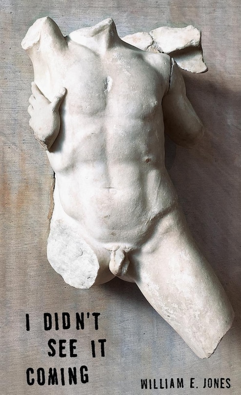 Couverture_I Didn't See It Coming