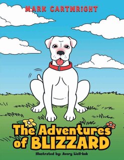 Couverture_The Adventures of Blizzard
