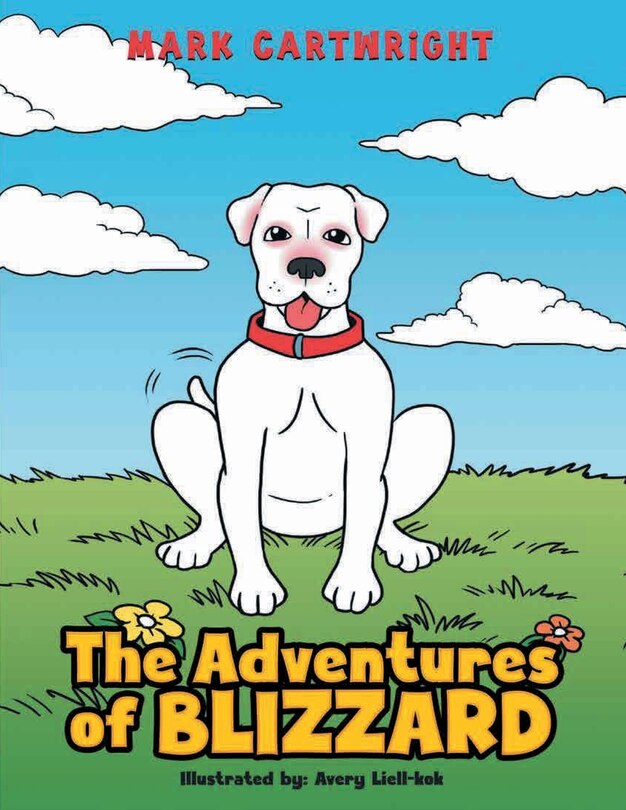 Couverture_The Adventures of Blizzard