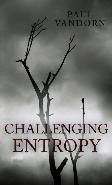 Front cover_Challenging Entropy