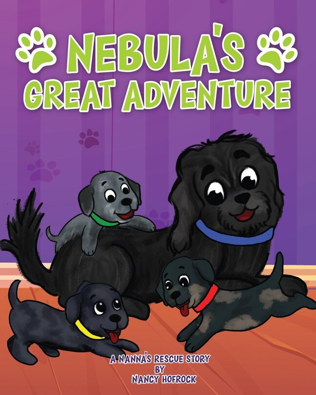 Couverture_Nebula's Great Adventure