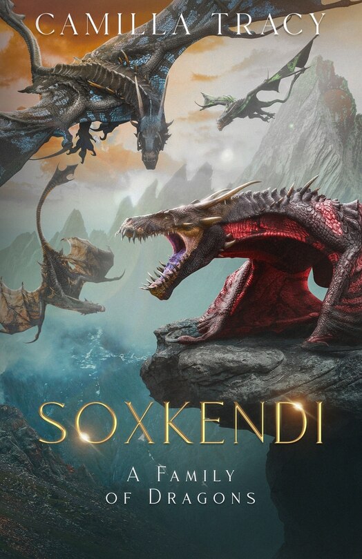Front cover_Soxkendi
