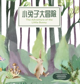 Front cover_The Adventure of the Little Bunny