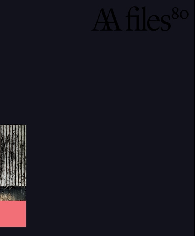 Front cover_AA Files 80