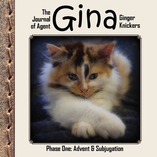 Front cover_The Journal of Agent Gina Ginger Knickers, Phase One