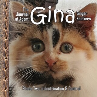 Front cover_The Journal of Agent Gina Ginger Knickers, Phase Two