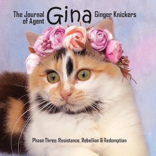 Couverture_The Journal of Agent Gina Ginger Knickers Phase Three
