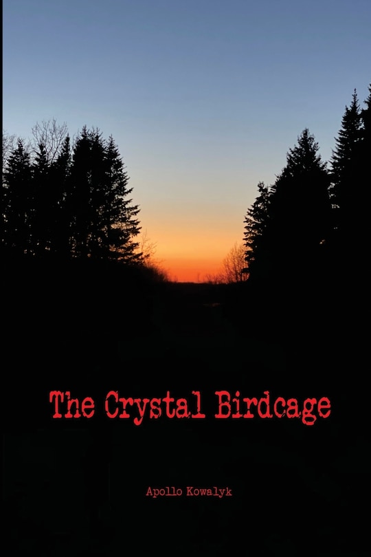 Front cover_The Crystal Birdcage