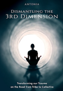 Front cover_Dismantling the 3rd Dimension