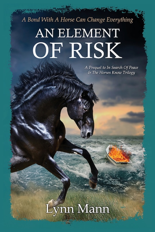Front cover_An Element Of Risk