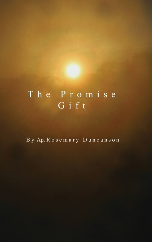 Couverture_The Promise Gift