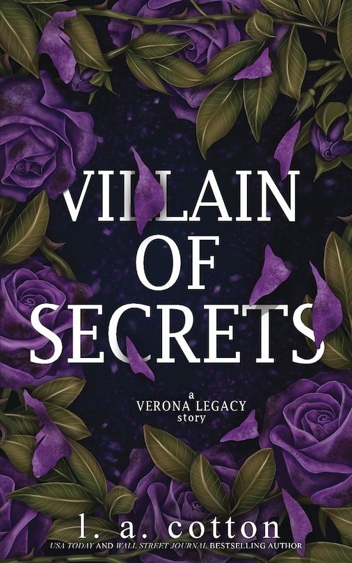 Front cover_Villain of Secrets