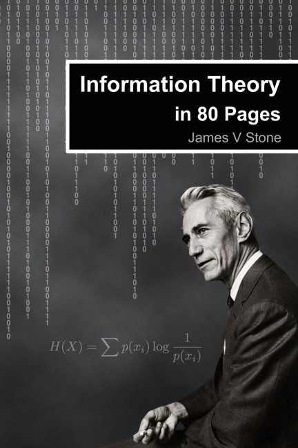 Couverture_Information Theory in 80 Pages
