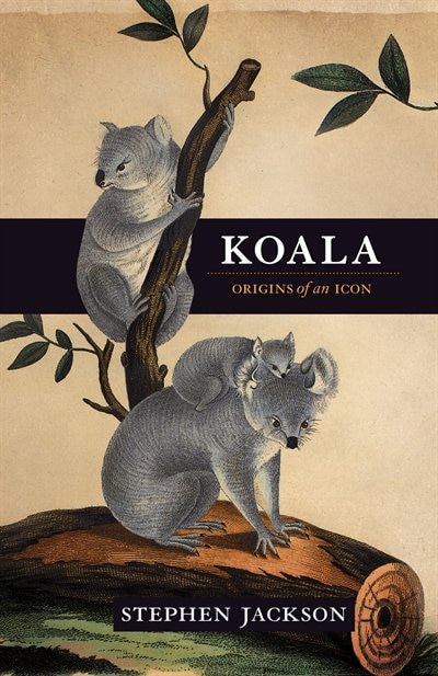 Couverture_Koala