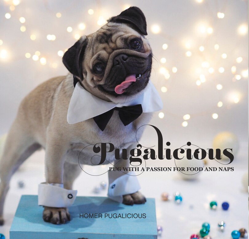 Pugalicious: Pug With A Passion For Food And Naps