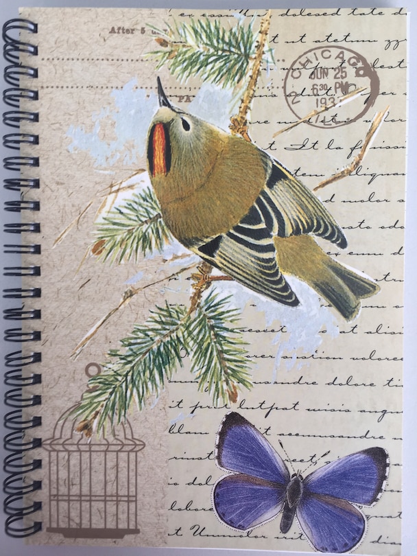 Couverture_Goldcrest A5 Spiral Notepad