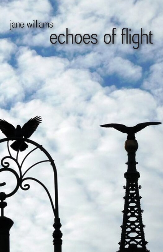 Couverture_echoes of flight