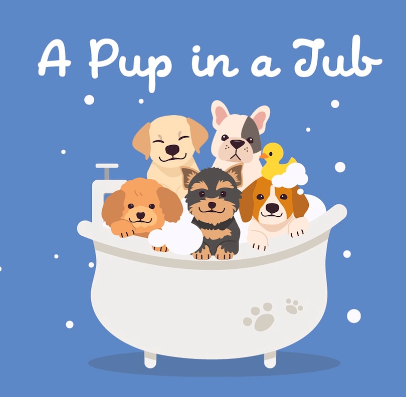 Front cover_A Pup in a Tub