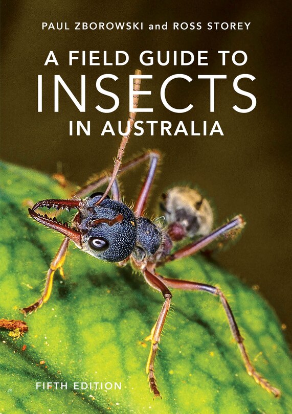 Front cover_A Field Guide to Insects of Australia