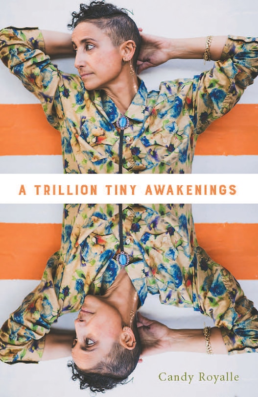 Front cover_A trillion tiny awakenings