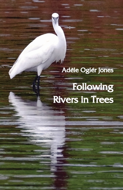 Front cover_Following Rivers in Trees