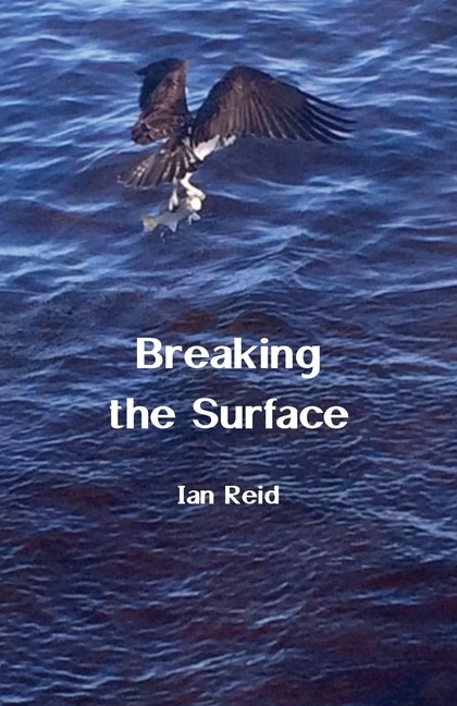 Couverture_Breaking the Surface