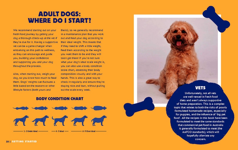 Front cover_Healthy Dog, Happy Dog