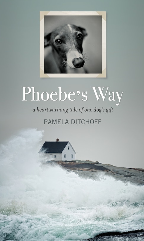 Couverture_Phoebe’s Way