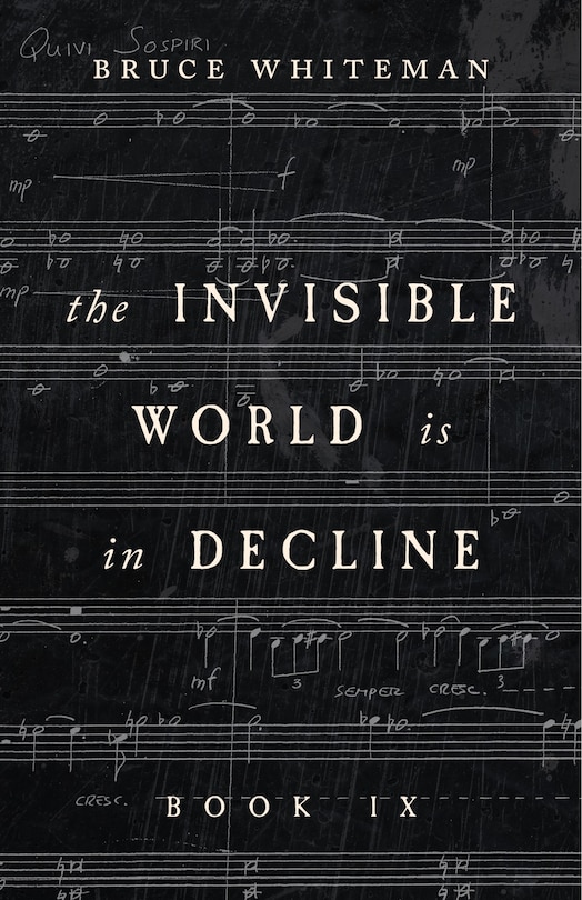 The Invisible World Is In Decline Book Ix