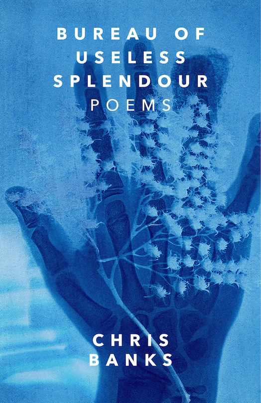 Front cover_Bureau of Useless Splendour