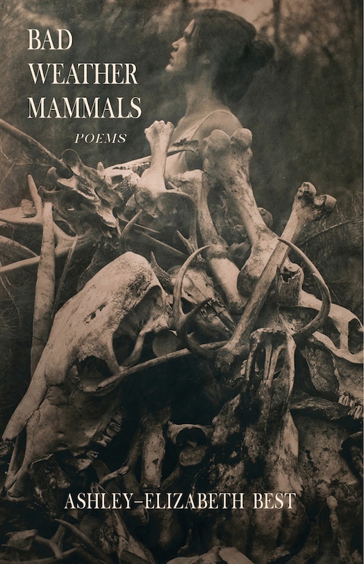 Front cover_Bad Weather Mammals