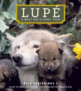 Front cover_Lupe