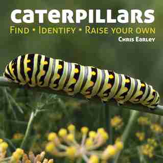 Caterpillars: Find - Identify - Raise Your Own by Chris Earley