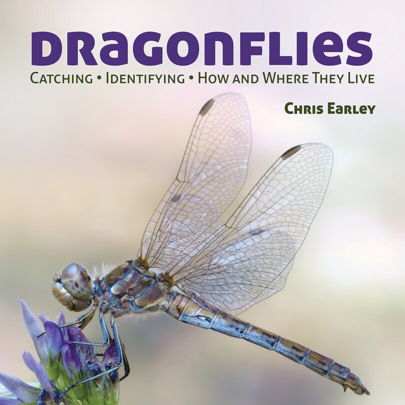 Couverture_Dragonflies