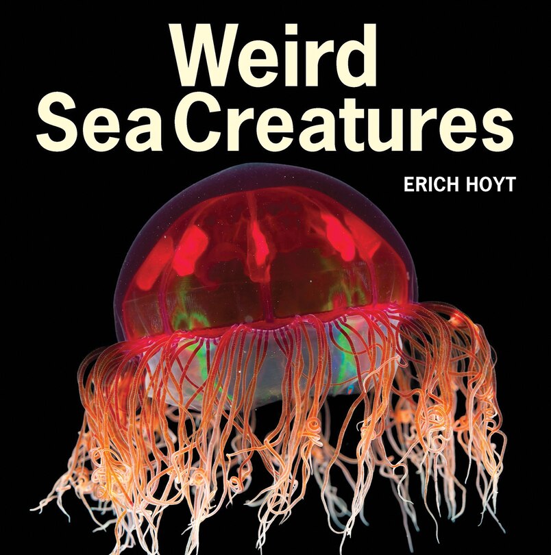 Front cover_Weird Sea Creatures