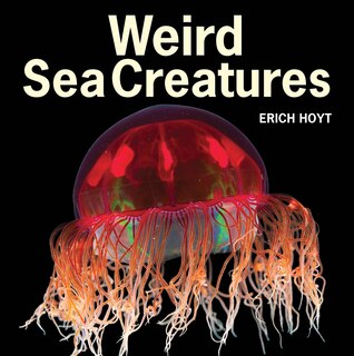 Front cover_Weird Sea Creatures