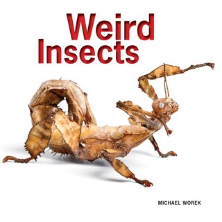 Couverture_Weird Insects