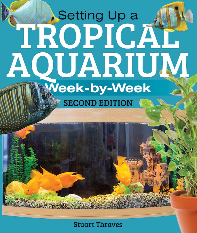 Setting Up a Tropical Aquarium: Week By Week