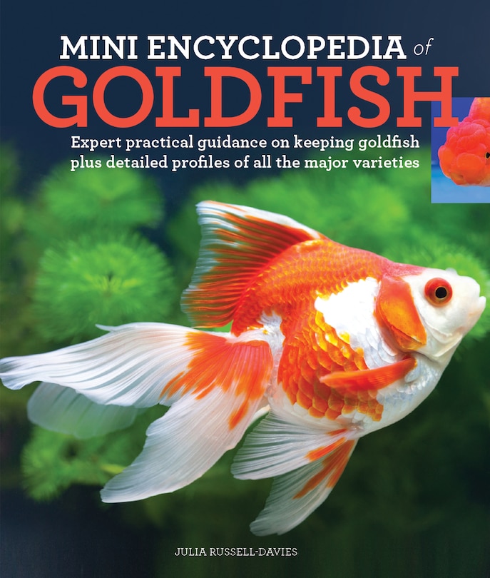 Mini Encyclopedia of Goldfish: Expert Practical Guidance on Keeping Goldfish Plus Detailed Profiles of All the Major Varieties