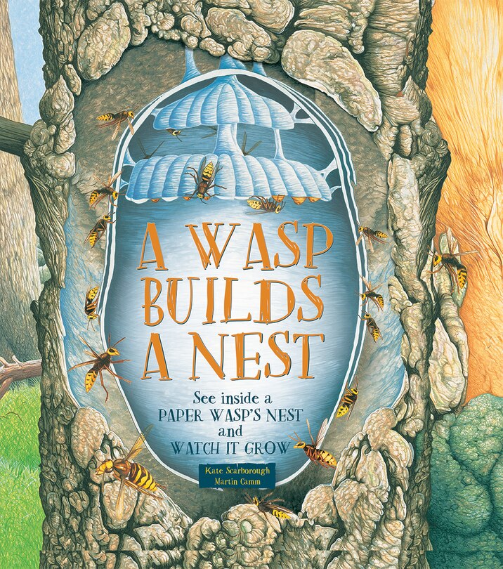 A Wasp Builds A Nest: See Inside A Paper Wasp's Nest And Watch It Grow