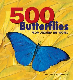 Front cover_500 Butterflies