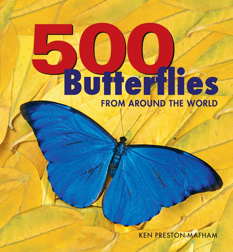 Front cover_500 Butterflies