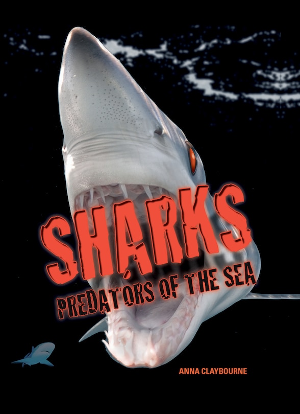 Sharks -- Predators Of The Sea