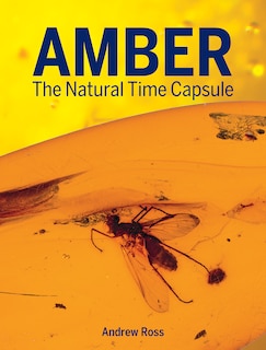 Front cover_Amber